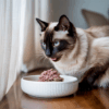 Alimentos para gatos